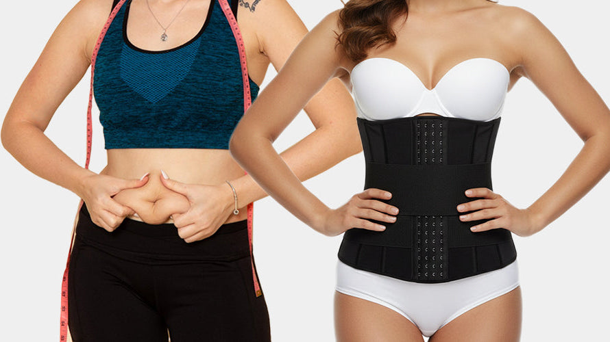 I am fat , Can a waist trainer help me lose my belly ?