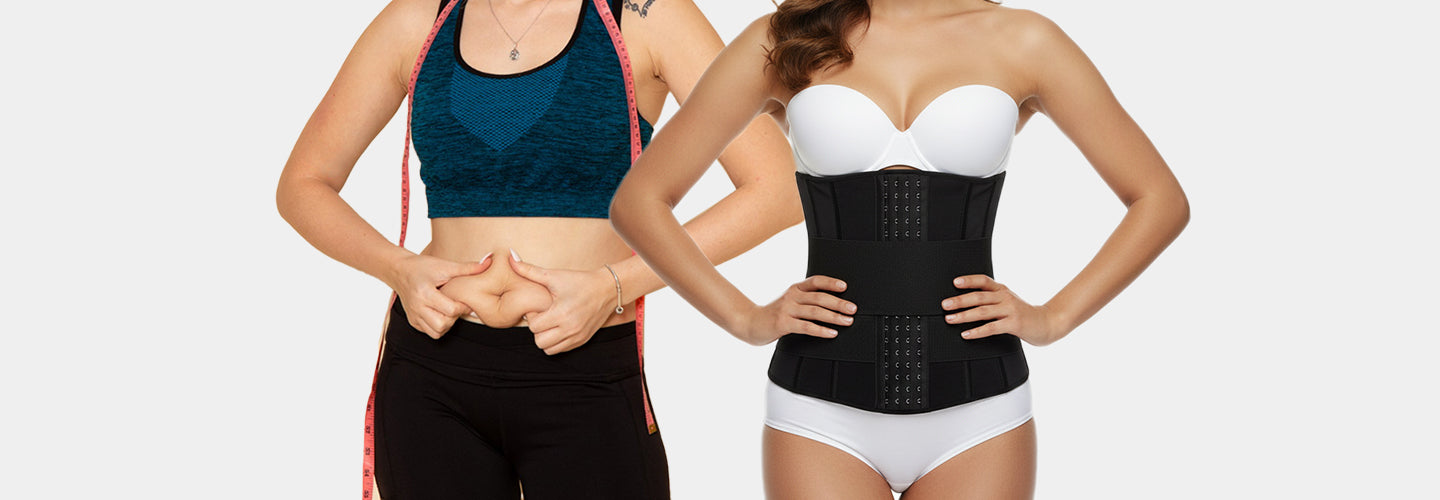 I am fat , Can a waist trainer help me lose my belly ?